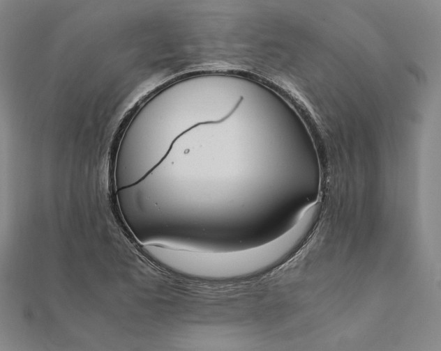 X0000111861173200908061329