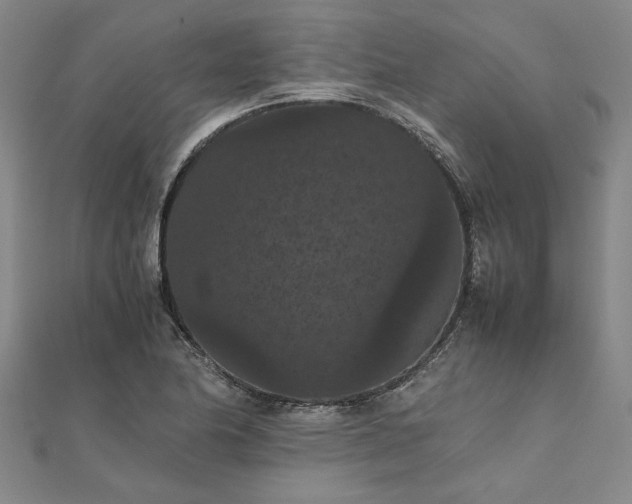 X0000111861174200908061329