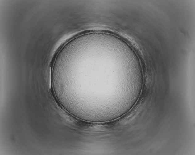 X0000111861175200908061329