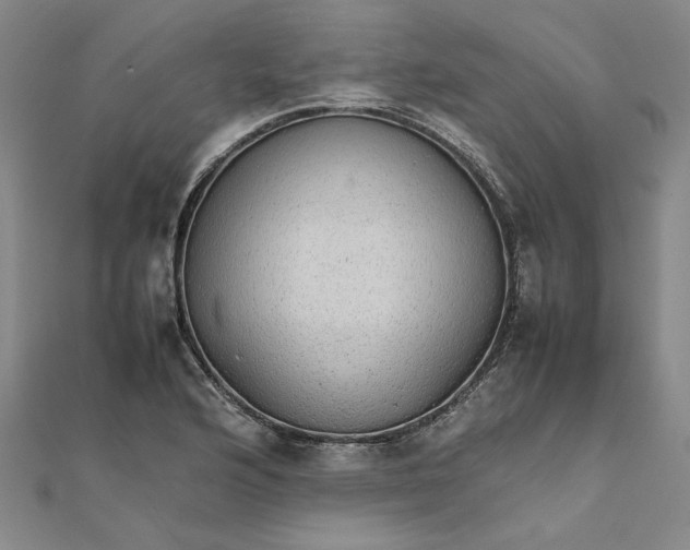 X0000111861176200908061329