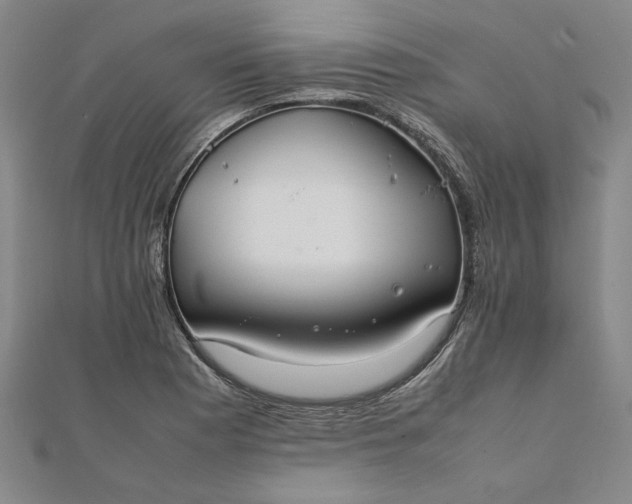 X0000111861177200908061329