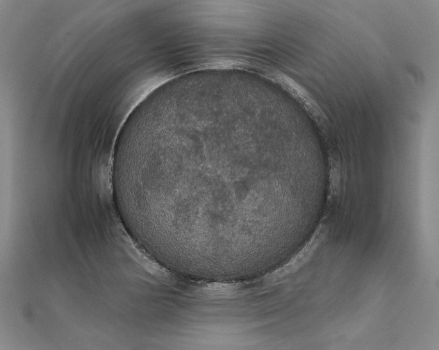 X0000111861178200908061329