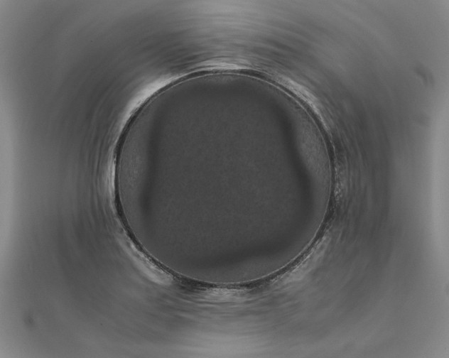 X0000111861179200908061329