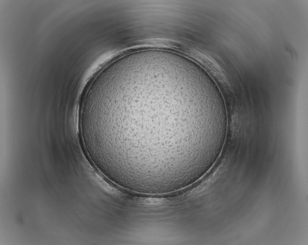 X0000111861180200908061329