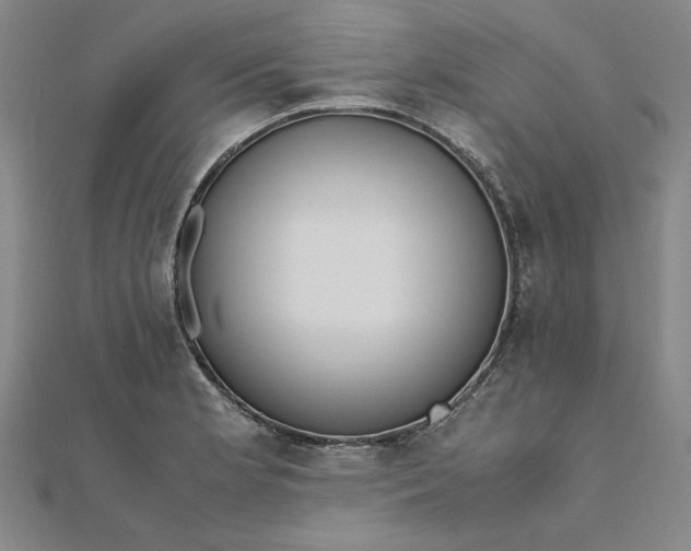 X0000111861181200908061329