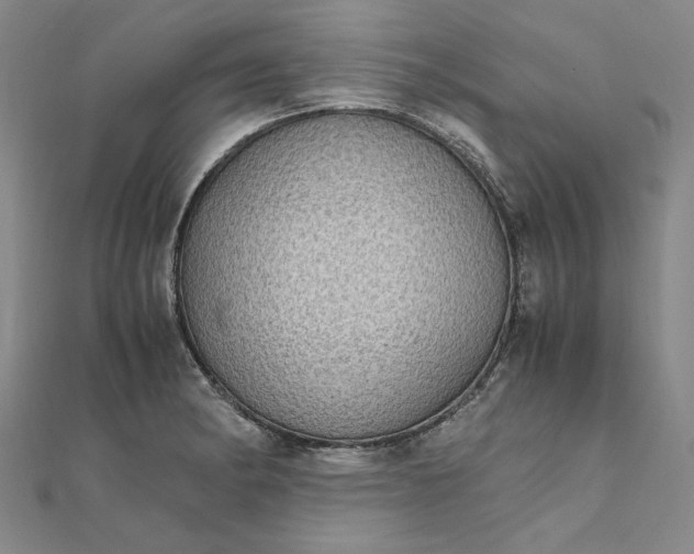 X0000111861182200908061329