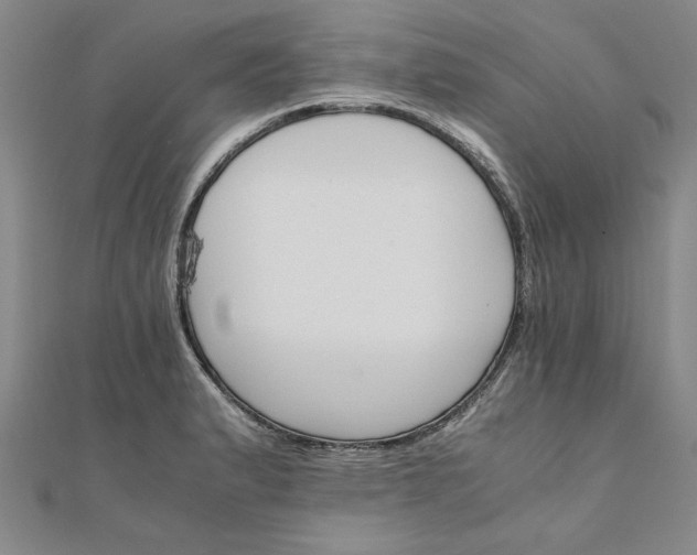 X0000111861183200908061329