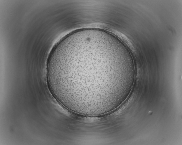 X0000111861184200908061329