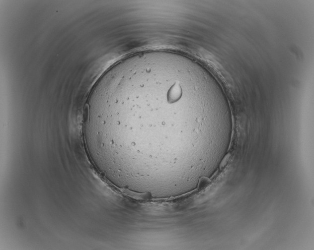 X0000111861185200908061329