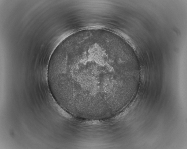 X0000111861186200908061329