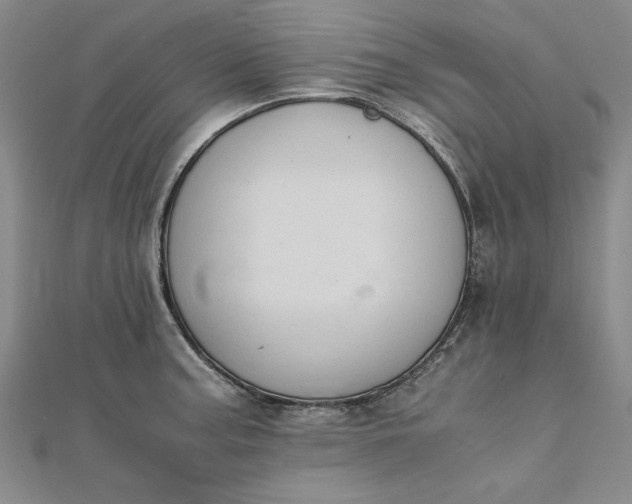 X0000111861187200908061329