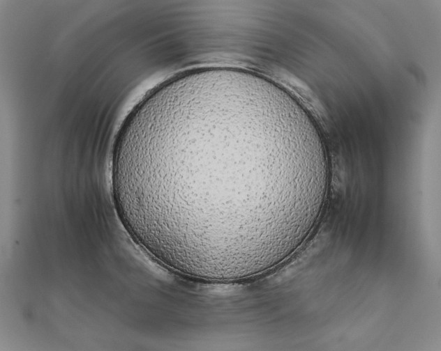 X0000111861188200908061329