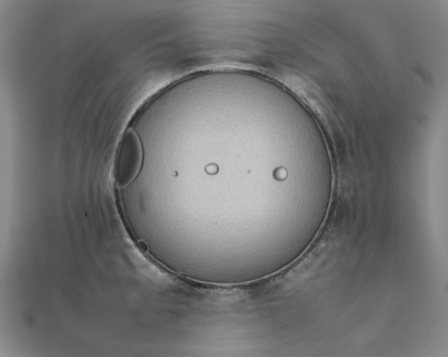 X0000111861189200908061329