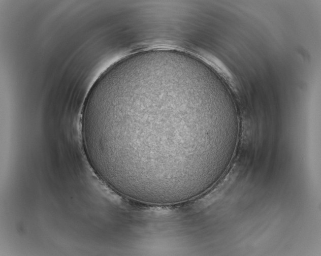 X0000111861190200908061329