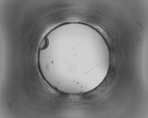 X0000111861191200908061329