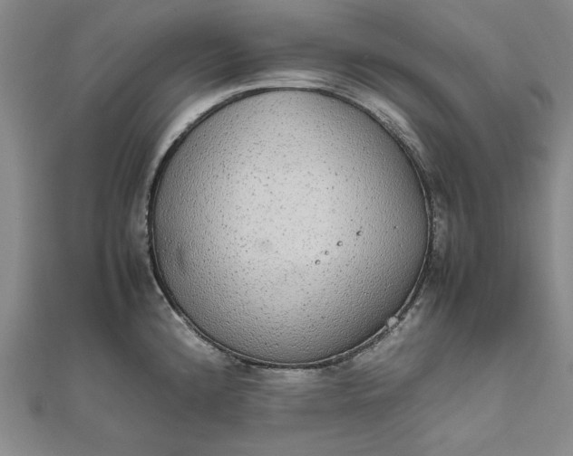 X0000111861192200908061329