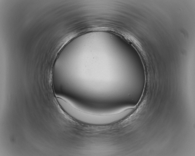 X0000111861193200908061329