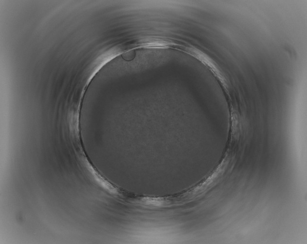 X0000111861194200908061329