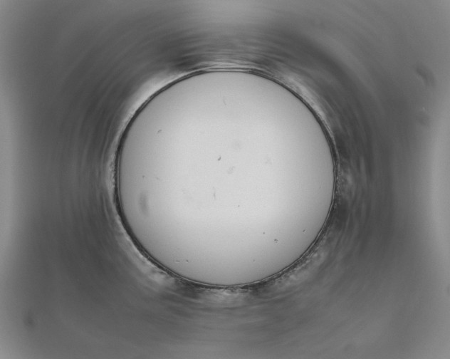 X0000111861195200908061329