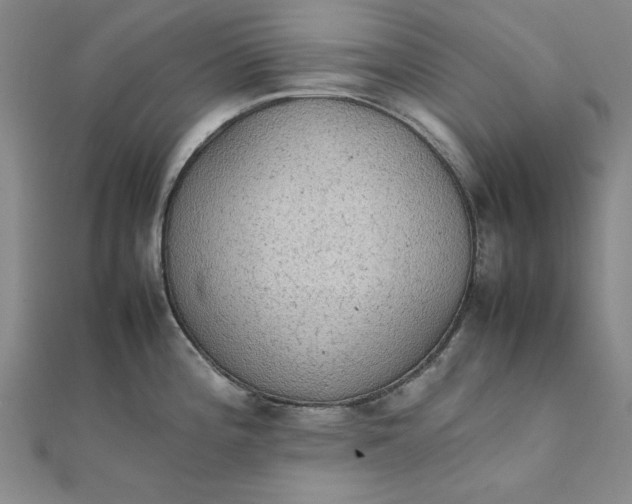 X0000111861196200908061329