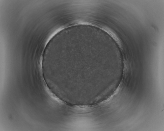 X0000111861198200908061329