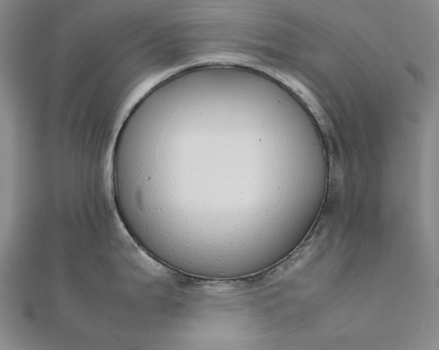 X0000111861199200908061329