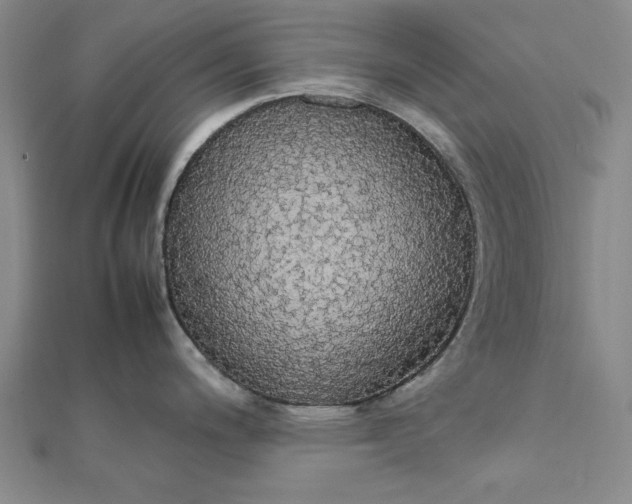 X0000111861200200908061329