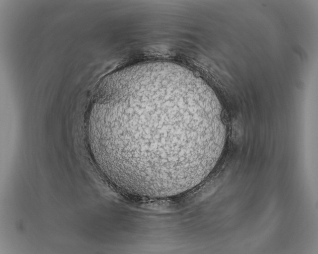 X0000111861201200908061328