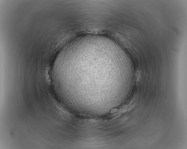 X0000111861202200908061328