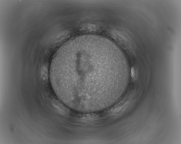 X0000111861203200908061328