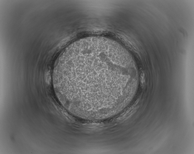 X0000111861204200908061328