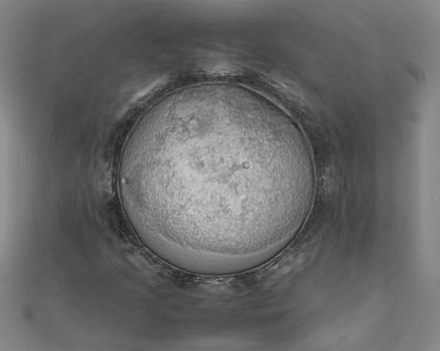 X0000111861205200908061328