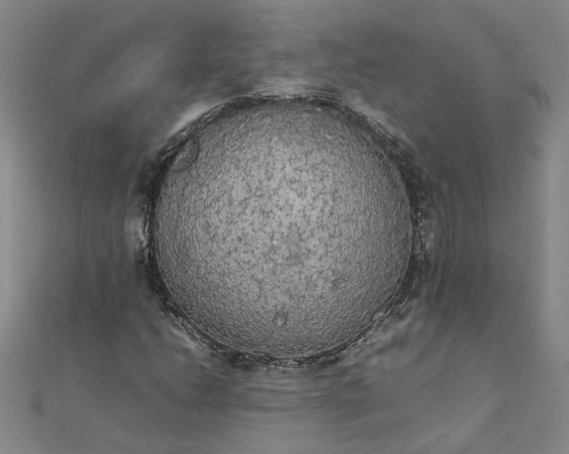 X0000111861206200908061328