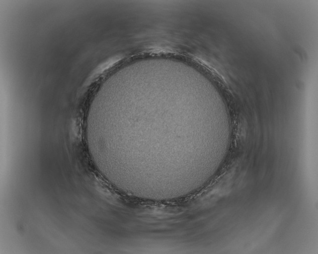 X0000111861207200908061328