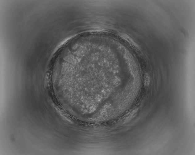 X0000111861208200908061328