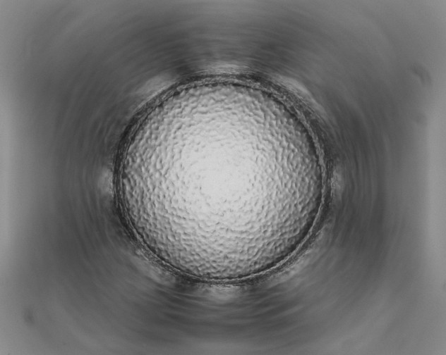 X0000111861209200908061328