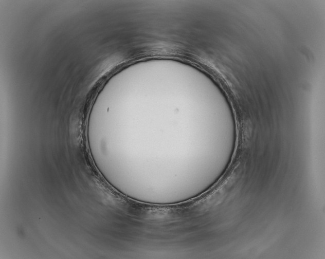 X0000111861211200908061328