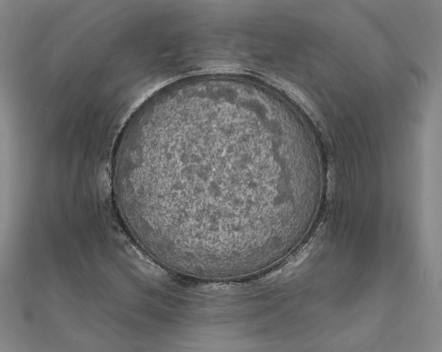 X0000111861212200908061328