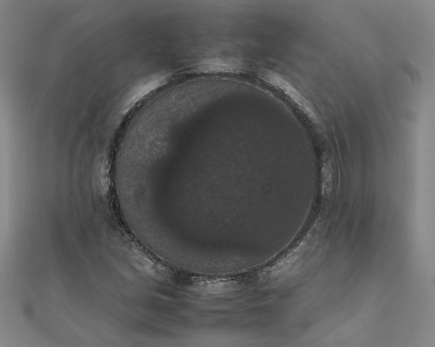 X0000111861213200908061328