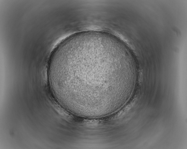 X0000111861214200908061328