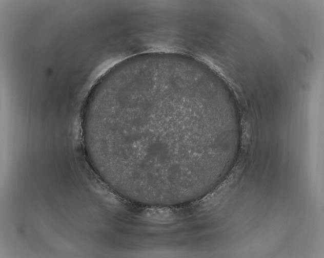 X0000111861215200908061328