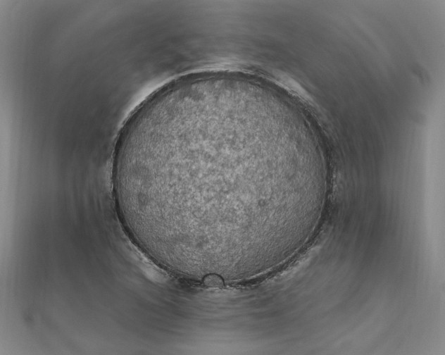 X0000111861216200908061328