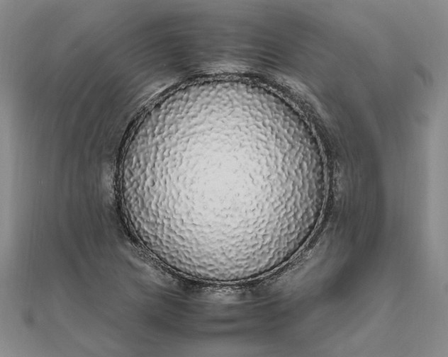 X0000111861217200908061328