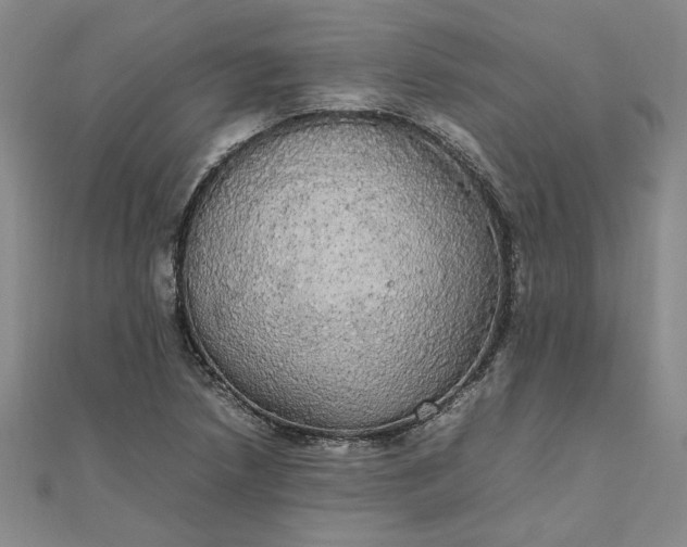 X0000111861218200908061328