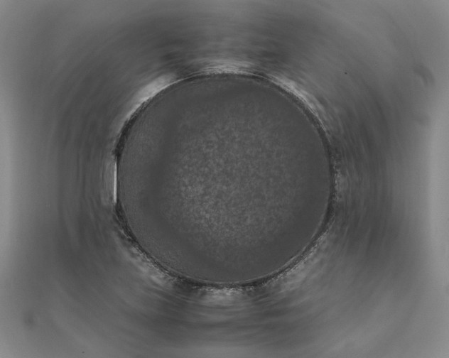 X0000111861219200908061328