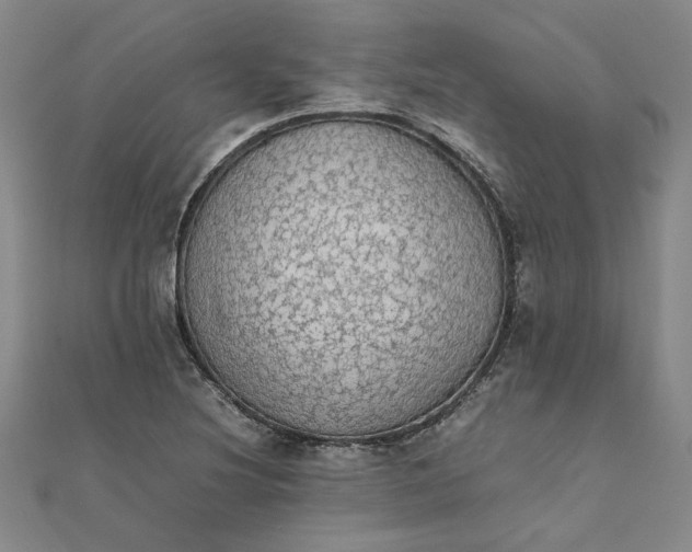 X0000111861220200908061328