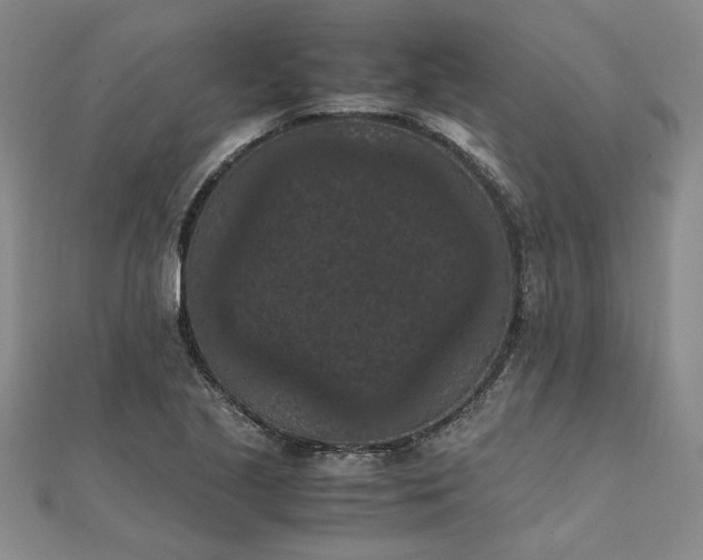 X0000111861221200908061328