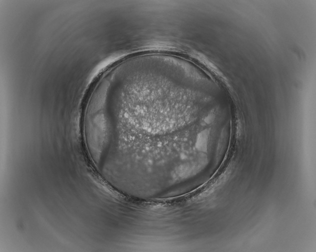 X0000111861222200908061328