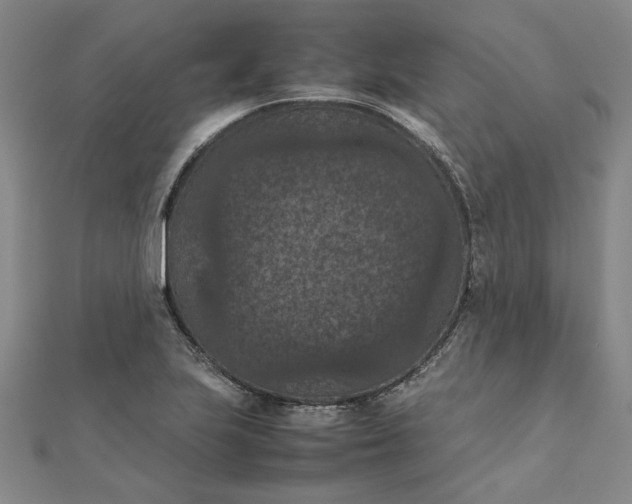 X0000111861223200908061329