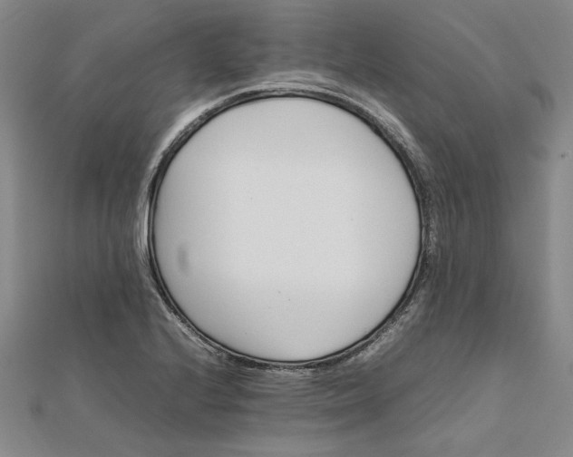 X0000111861224200908061329